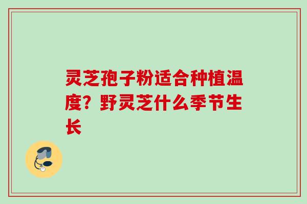 灵芝孢子粉适合种植温度?野灵芝什么季节生长