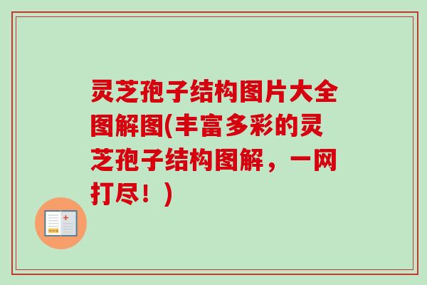 灵芝孢子结构图片大全图解图(丰富多彩的灵芝孢子结构图解,一网打尽!) 灵芝孢子结构图片大全图解图(丰富多彩的灵芝孢子结构图解,一网打尽!)