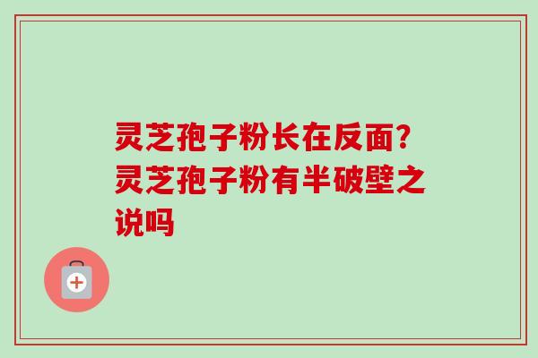 灵芝孢子粉长在反面？灵芝孢子粉有半破壁之说吗