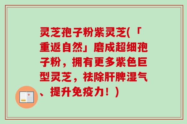 灵芝孢子粉紫灵芝(「重返自然」磨成超细孢子粉，拥有更多紫色巨型灵芝，祛除脾湿气、提升免疫力！)