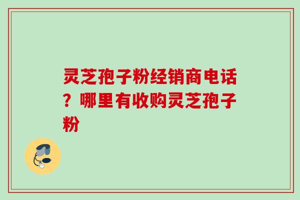灵芝孢子粉经销商电话？哪里有收购灵芝孢子粉