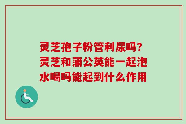 灵芝孢子粉管利尿吗?灵芝和蒲公英能一起泡水喝吗能起到什么作用 灵芝孢子粉管利尿吗?灵芝和蒲公英能一起泡水喝吗能起到什么作用