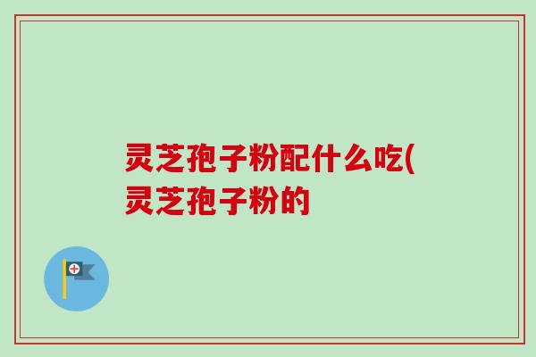 灵芝孢子粉配什么吃(灵芝孢子粉的