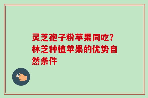 灵芝孢子粉苹果同吃？林芝种植苹果的优势自然条件