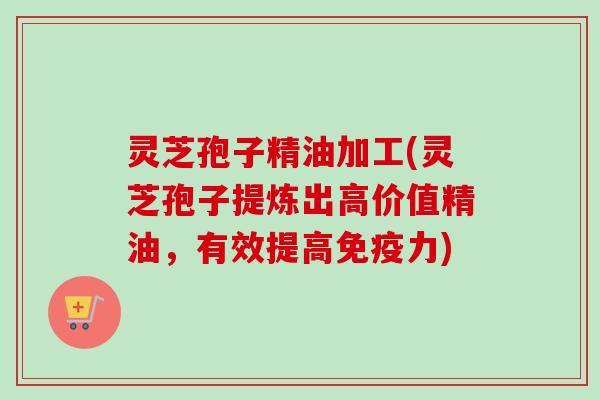 灵芝孢子精油加工(灵芝孢子提炼出高价值精油,有效提高免疫力)