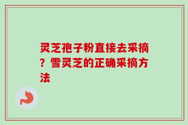 灵芝孢子粉直接去采摘？雪灵芝的正确采摘方法