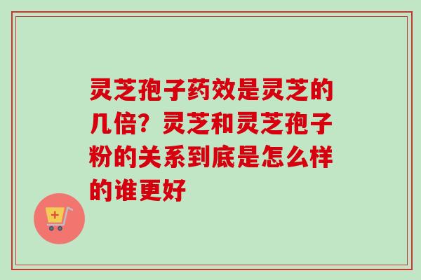 灵芝孢子药效是灵芝的几倍?灵芝和灵芝孢子粉的关系到底是怎么样的谁更好