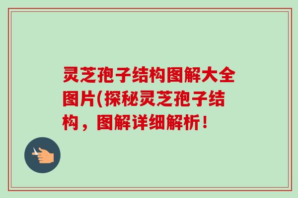 灵芝孢子结构图解大全图片(探秘灵芝孢子结构,图解详细解析!