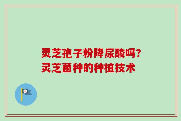 灵芝孢子粉降尿酸吗?灵芝菌种的种植技术 灵芝孢子粉降尿酸吗?灵芝菌种的种植技术