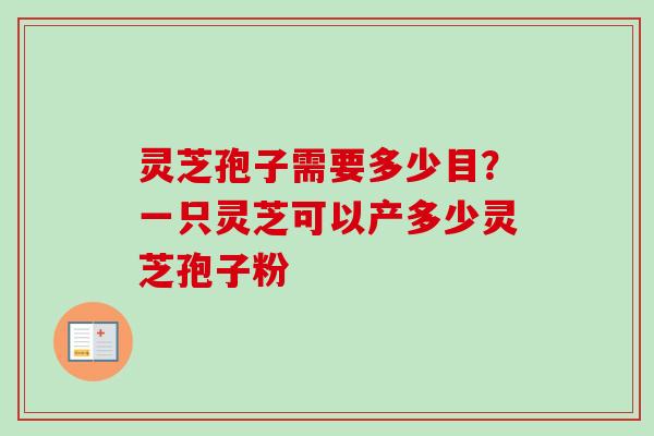 灵芝孢子需要多少目？一只灵芝可以产多少灵芝孢子粉