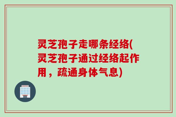 灵芝孢子走哪条经络(灵芝孢子通过经络起作用,疏通身体气息) 灵芝孢子走哪条经络(灵芝孢子通过经络起作用,疏通身体气息)