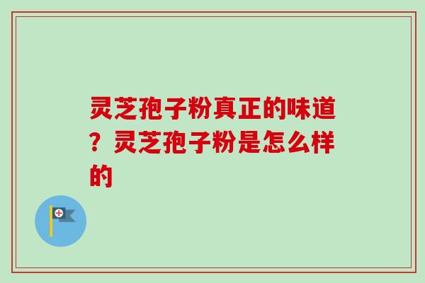 灵芝孢子粉真正的味道?灵芝孢子粉是怎么样的