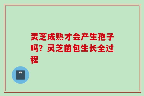 灵芝成熟才会产生孢子吗？灵芝菌包生长全过程