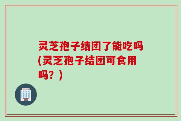 灵芝孢子结团了能吃吗(灵芝孢子结团可食用吗?)