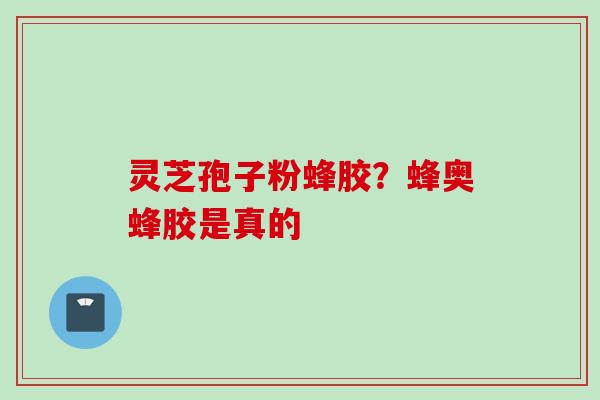 灵芝孢子粉蜂胶?蜂奥蜂胶是真的