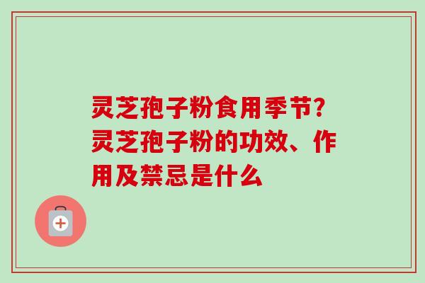 灵芝孢子粉食用季节？灵芝孢子粉的功效、作用及禁忌是什么