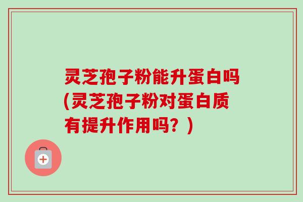 灵芝孢子粉能升蛋白吗(灵芝孢子粉对蛋白质有提升作用吗?)