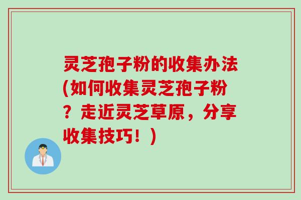 灵芝孢子粉的收集办法(如何收集灵芝孢子粉?走近灵芝草原,分享收集技巧!)