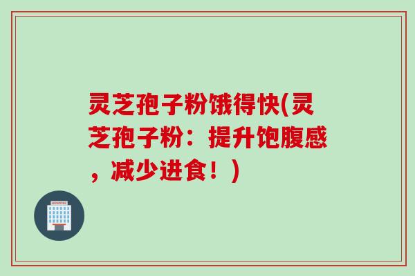 灵芝孢子粉饿得快(灵芝孢子粉：提升饱腹感，减少进食！)