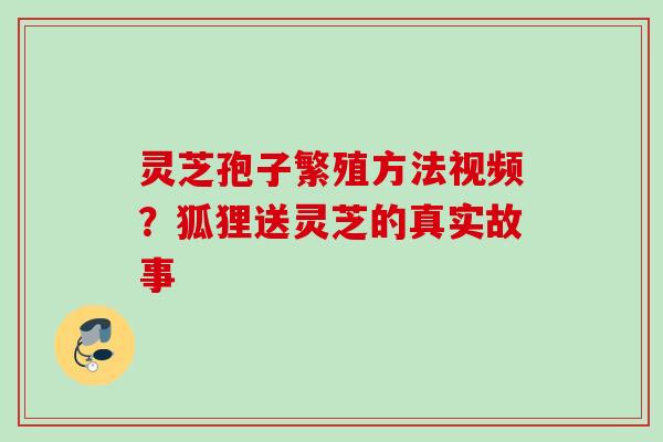 灵芝孢子繁殖方法视频？狐狸送灵芝的真实故事