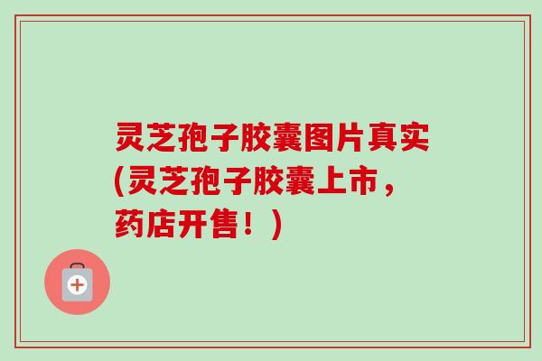 灵芝孢子胶囊图片真实(灵芝孢子胶囊上市，药店开售！)