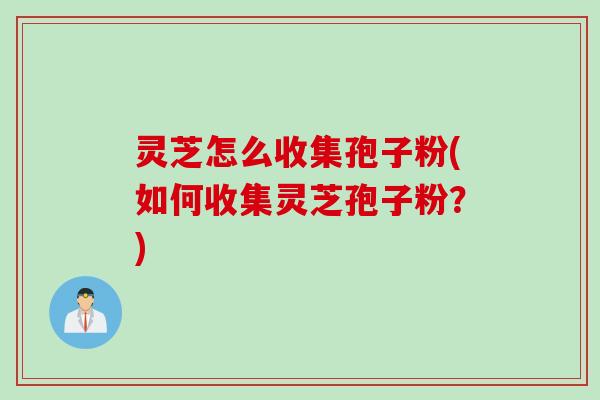 灵芝怎么收集孢子粉(如何收集灵芝孢子粉?)