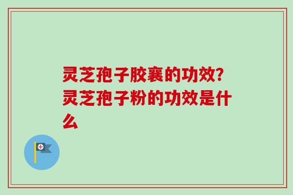 灵芝孢子胶襄的功效?灵芝孢子粉的功效是什么