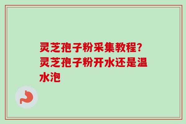 灵芝孢子粉采集教程?灵芝孢子粉开水还是温水泡