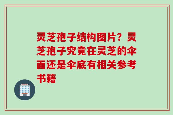 灵芝孢子结构图片？灵芝孢子究竟在灵芝的伞面还是伞底有相关参考书籍