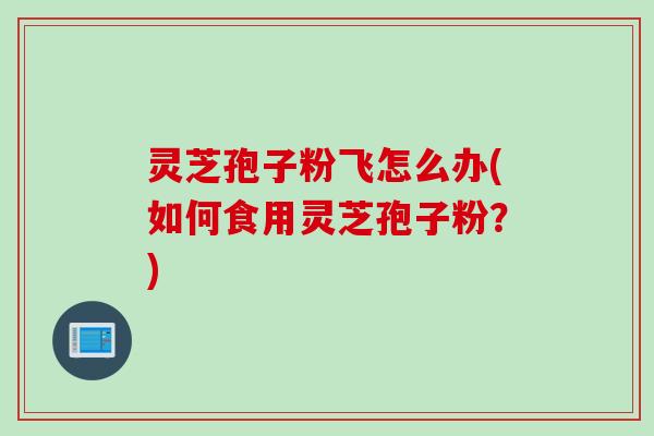 灵芝孢子粉飞怎么办(如何食用灵芝孢子粉?)