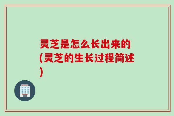 灵芝是怎么长出来的 (灵芝的生长过程简述)