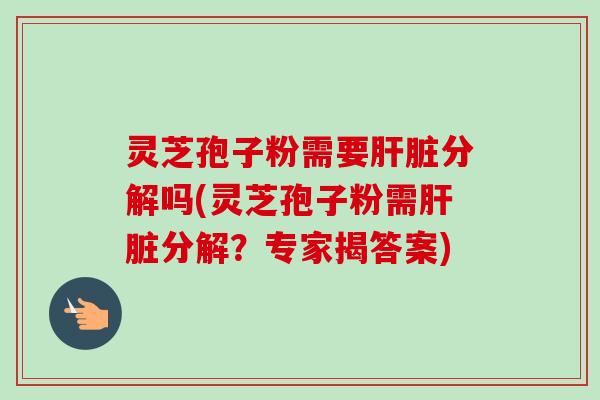 灵芝孢子粉需要肝脏分解吗(灵芝孢子粉需肝脏分解?专家揭答案)