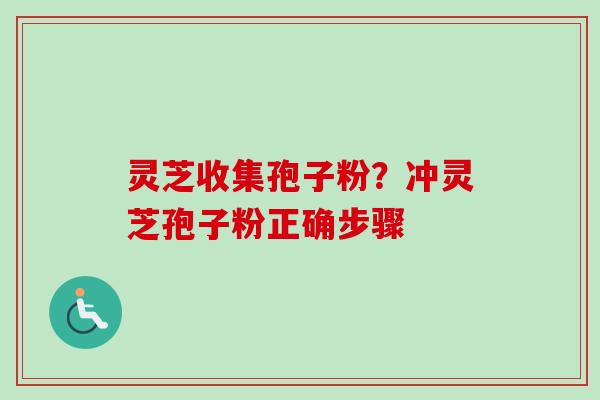 灵芝收集孢子粉?冲灵芝孢子粉正确步骤 灵芝收集孢子粉?冲灵芝孢子粉正确步骤
