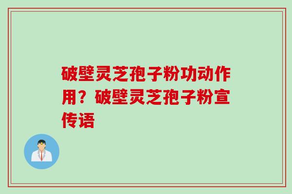 破壁灵芝孢子粉功动作用？破壁灵芝孢子粉宣传语