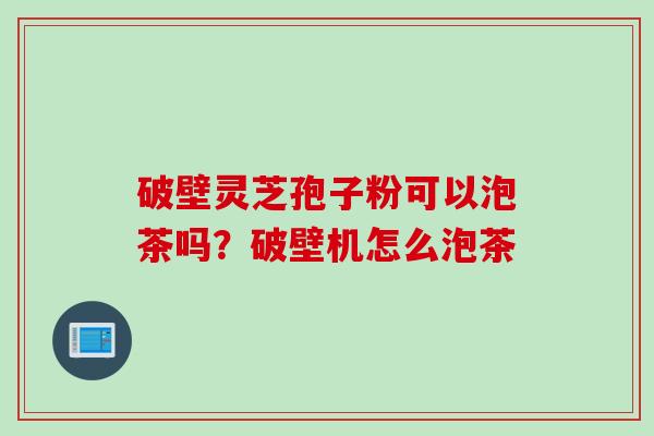 破壁灵芝孢子粉可以泡茶吗?破壁机怎么泡茶