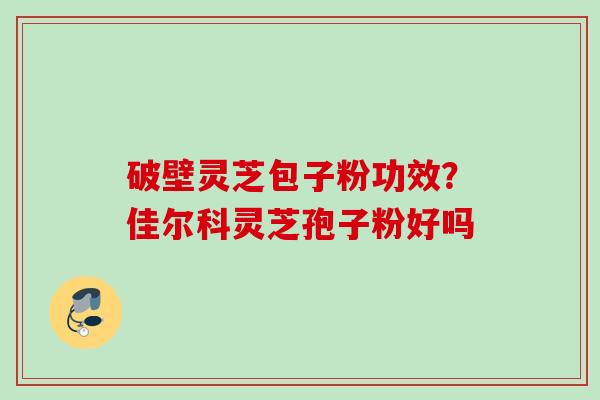 破壁灵芝包子粉功效？佳尔科灵芝孢子粉好吗