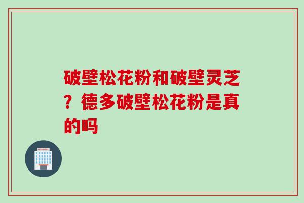 破壁松花粉和破壁灵芝？德多破壁松花粉是真的吗