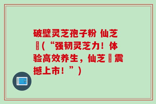 破壁灵芝孢子粉 仙芝鶴(“强韧灵芝力！体验高效养生，仙芝鶴震撼上市！”)