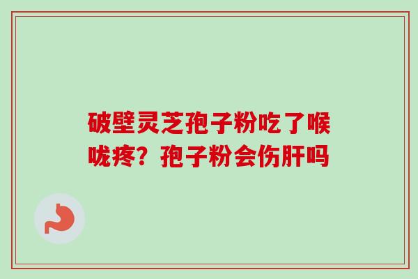 破壁灵芝孢子粉吃了喉咙疼?孢子粉会伤肝吗