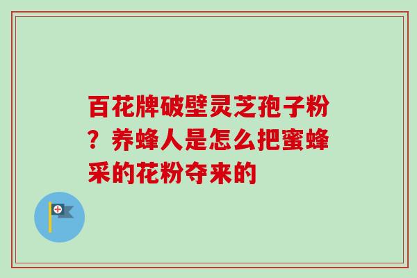 百花牌破壁灵芝孢子粉?养蜂人是怎么把蜜蜂采的花粉夺来的