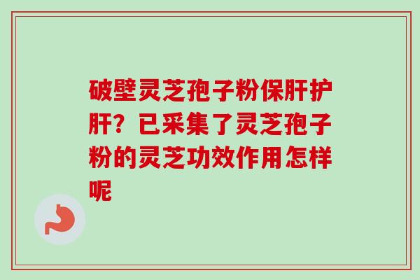 破壁灵芝孢子粉保肝护肝?已采集了灵芝孢子粉的灵芝功效作用怎样呢