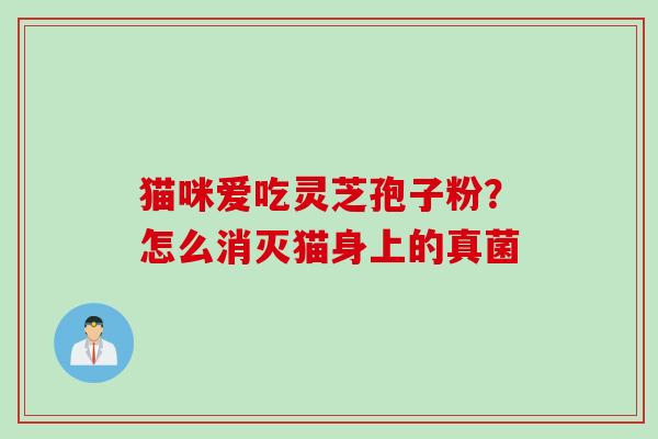 猫咪爱吃灵芝孢子粉？怎么消灭猫身上的真菌