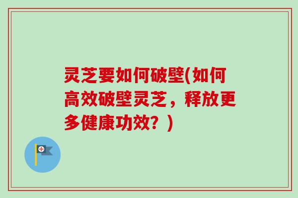灵芝要如何破壁(如何高效破壁灵芝，释放更多健康功效？)