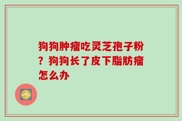 狗狗肿瘤吃灵芝孢子粉?狗狗长了皮下脂肪瘤怎么办