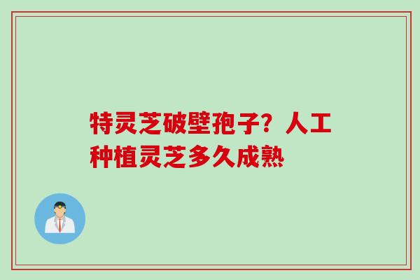 特灵芝破壁孢子?人工种植灵芝多久成熟