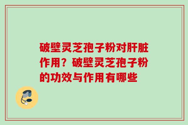 破壁灵芝孢子粉对肝脏作用?破壁灵芝孢子粉的功效与作用有哪些