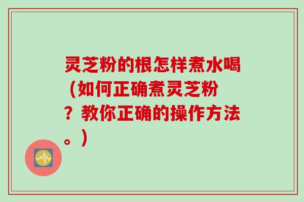 灵芝粉的根怎样煮水喝 (如何正确煮灵芝粉?教你正确的操作方法。)