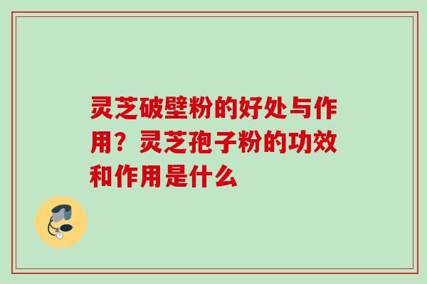 灵芝破壁粉的好处与作用?灵芝孢子粉的功效和作用是什么