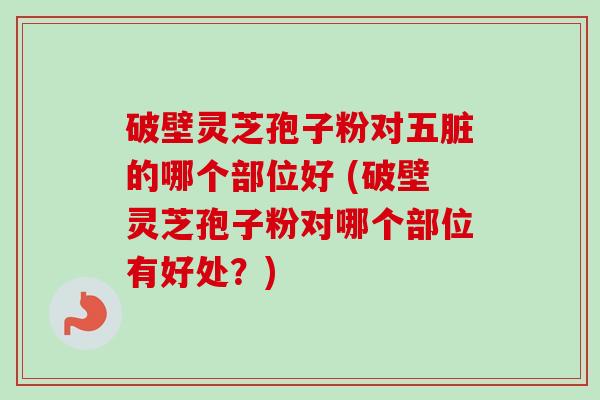 破壁灵芝孢子粉对五脏的哪个部位好 (破壁灵芝孢子粉对哪个部位有好处？)