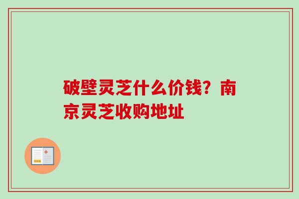 破壁灵芝什么价钱?南京灵芝收购地址
